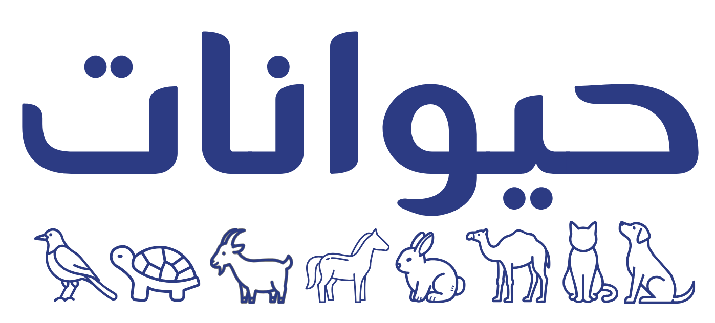 Haiwnat Logo